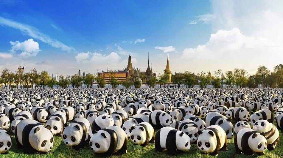 1,600 paper-mache panda sculptures by French artist Paulo Grangeon will make their conservation statement in Bangkok for the first time come this March
