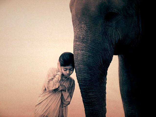 Gregory COLBERT's Ashes and Snow exhibit