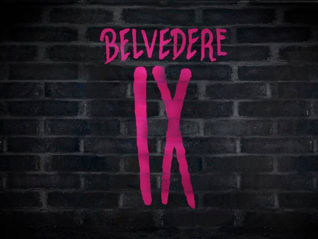 BELVEDERE IX, the new super premium vodka