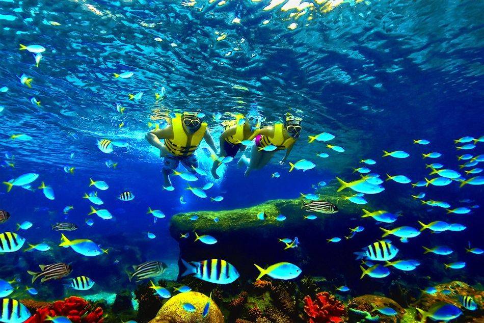 The World’s Largest Aquarium at Resorts World Sentosa in Singapore will be home to 100,000 marine animals of over 800 species in 45 million litres of water