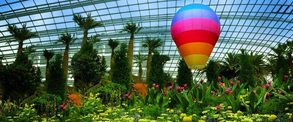 A brand new thematic floral display featuring hot-air balloons hovering over a field in the Flower Dome while moth orchids 'take flight' in the Cloud Forest
