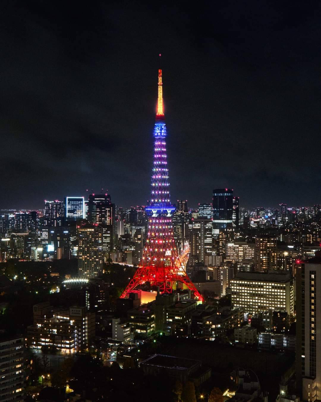 EXCLUSIVE: Louis Vuitton Takes Over Tokyo for Yayoi Kusama