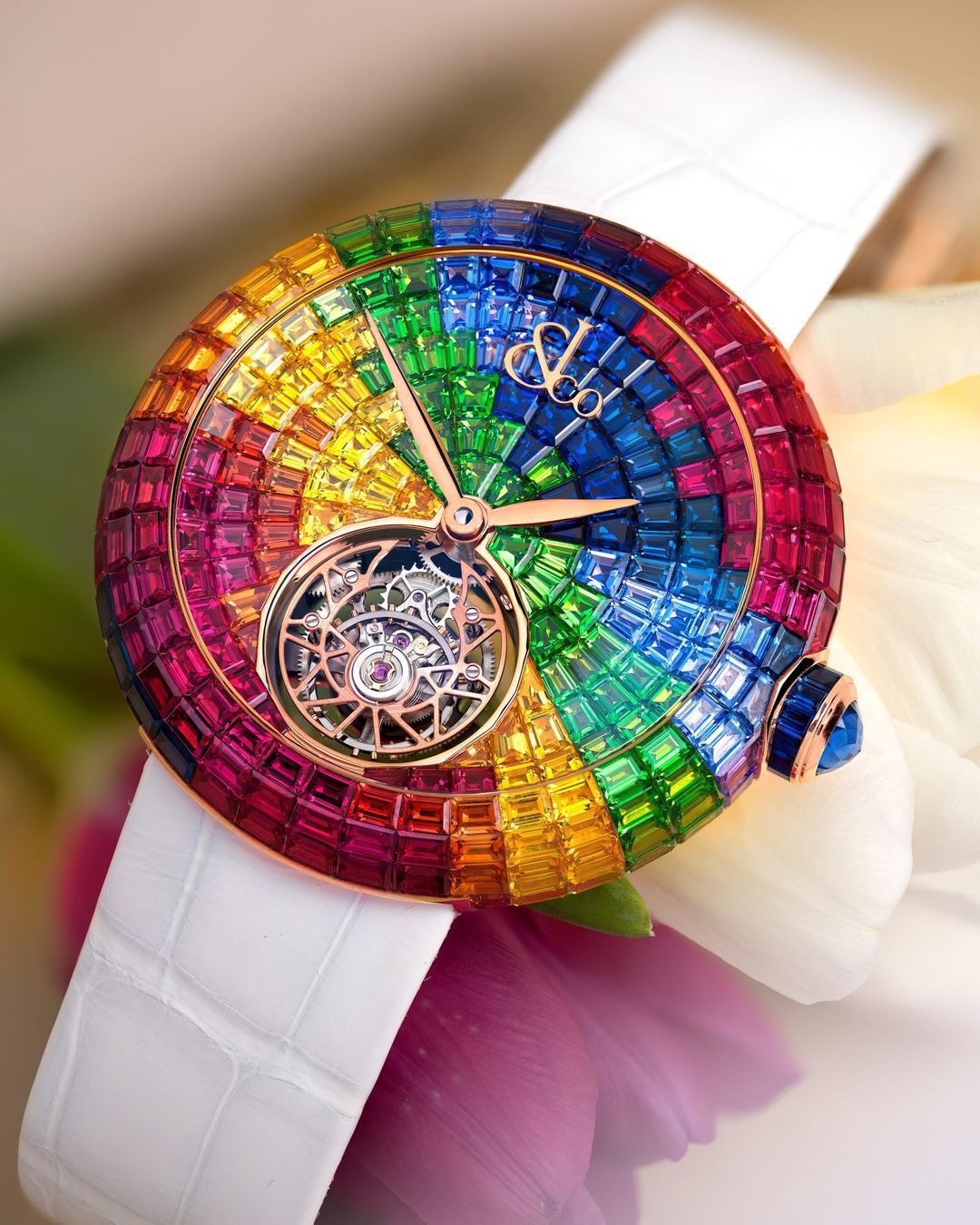 Jacob and co rainbow watch clearance price