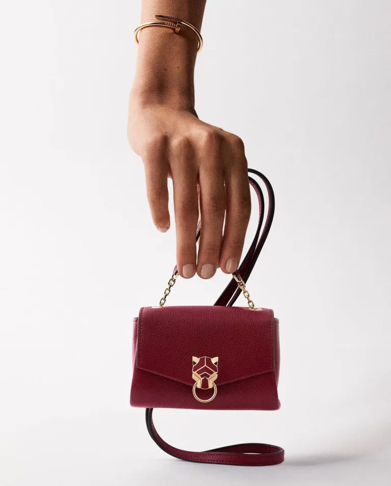 DKNY Elissa Leather Micro Mini Bag Red