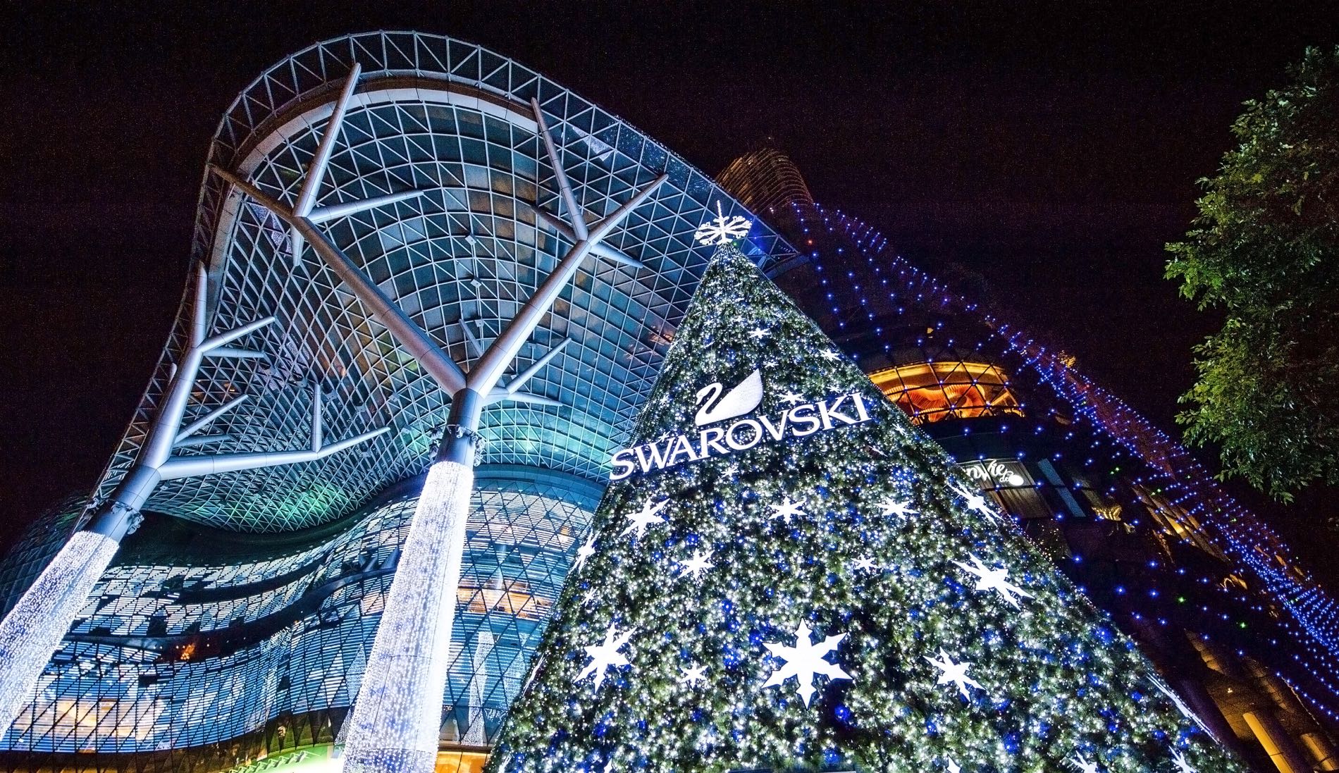 Swarovski Inaugurates First Outdoor Christmas  Tree in 