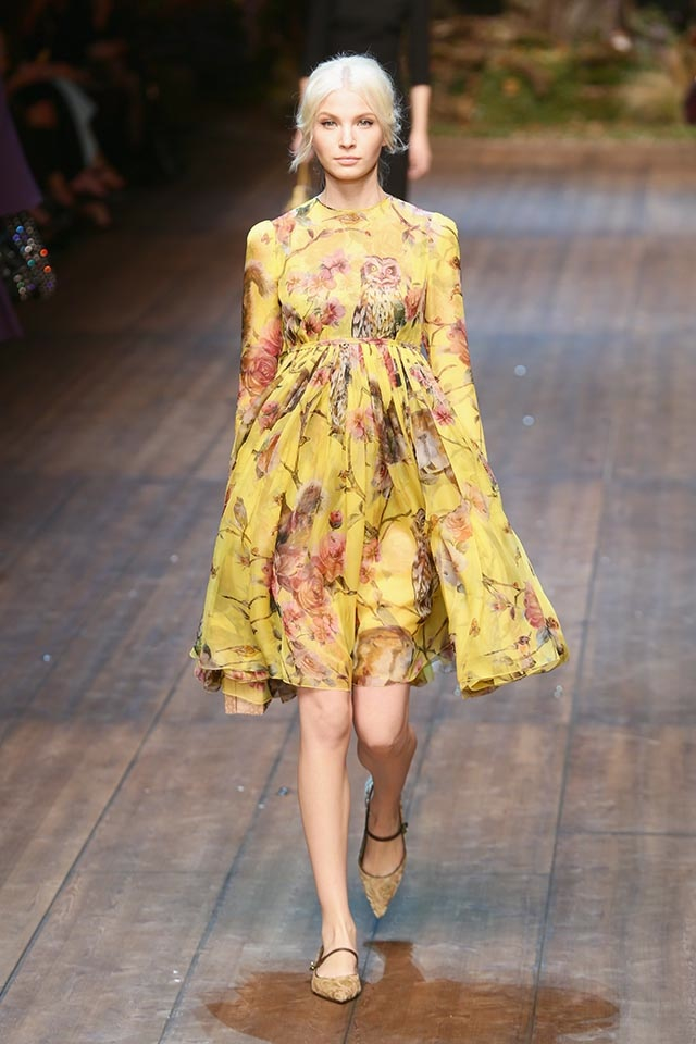 dolce and gabbana sicily collection