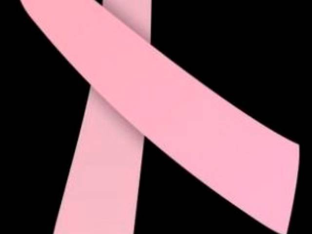 Breast Cancer Survival Tips: Breast Cancer Awareness Month October 2009