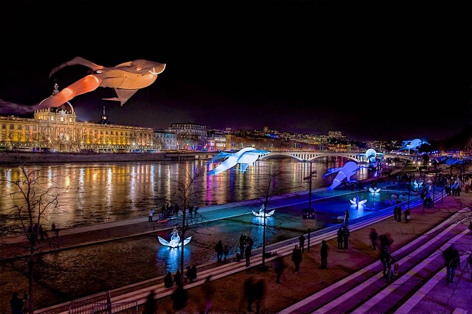 Be enchanted by giant dream-like light birds dancing in a spectacular aerial ballet
