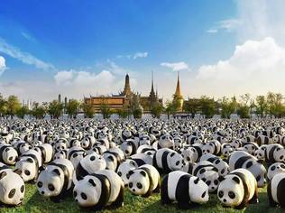 1,600 paper-mache panda sculptures by French artist Paulo Grangeon will make their conservation statement in Bangkok for the first time come this March